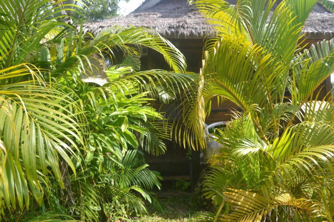 Otres Jungle Bungalows Hotel Sihanoukville Exterior photo